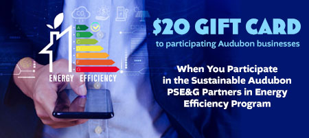 Get a FREE $20 Gift Card With PSE&G Energy Audit